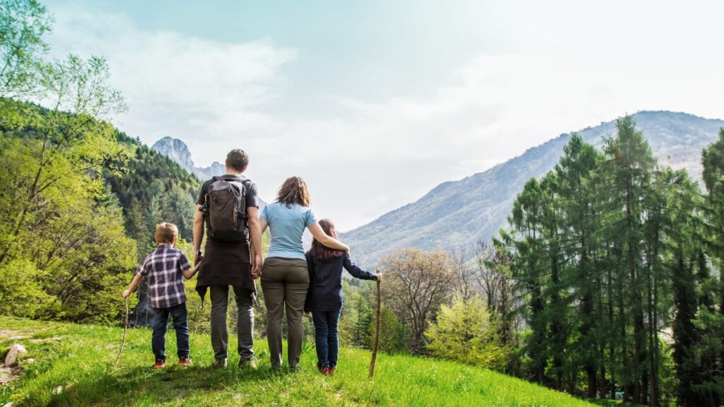 Travel Agent in Paharganj Domestic Holiday Packages